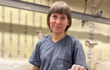 Хрупкая сила